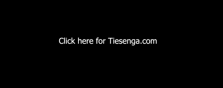 Tiesenga.com